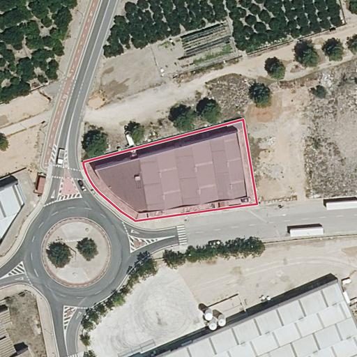 Foto aérea de la subasta en Senyera