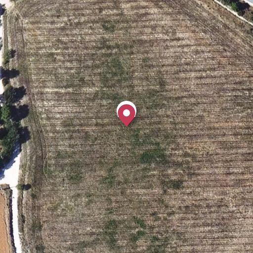 Foto aérea de la subasta en Vilanova del Camí