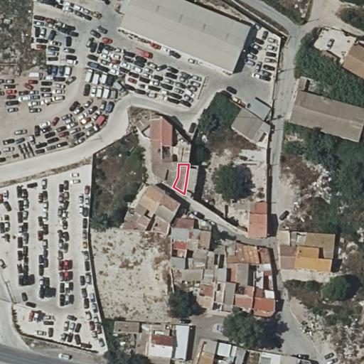 Foto aérea de la subasta en Alguazas