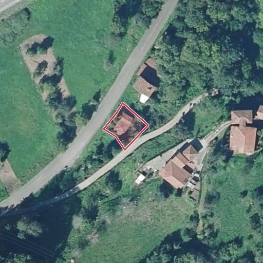 Foto aérea de la subasta en Belmonte de Miranda