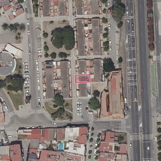 Foto aérea de la subasta en Gelves