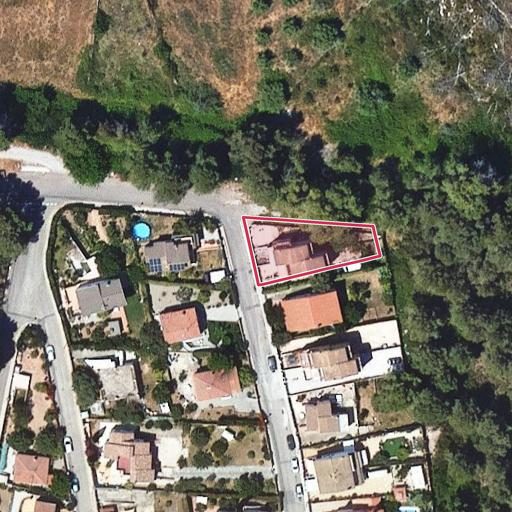 Foto aérea de la subasta en La Pobla de Montornes