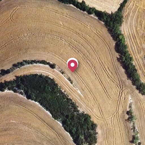 Foto aérea de la subasta en Calonge de Segarra