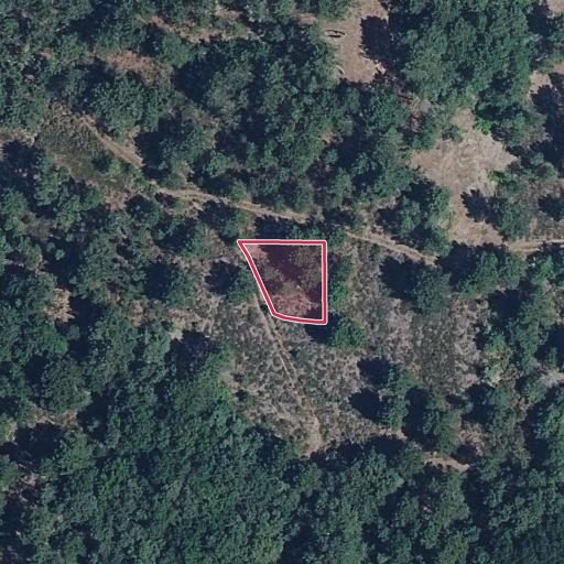 Foto aérea de la subasta en Monterrei